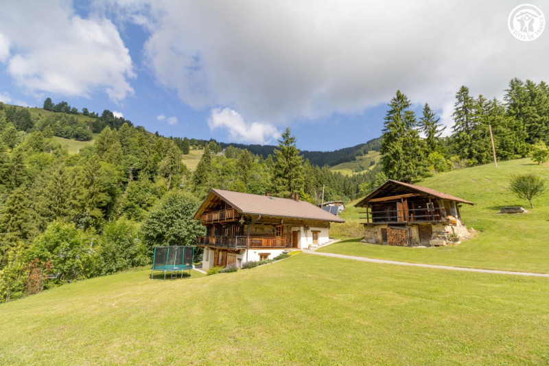 33398046.jpg.jpg 33398046.jpg.jpg