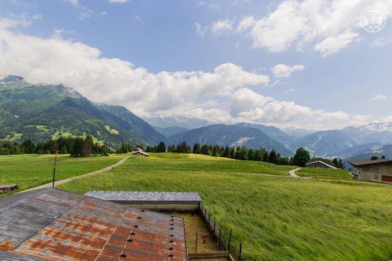 24225999.jpg.jpg 24225999.jpg.jpg