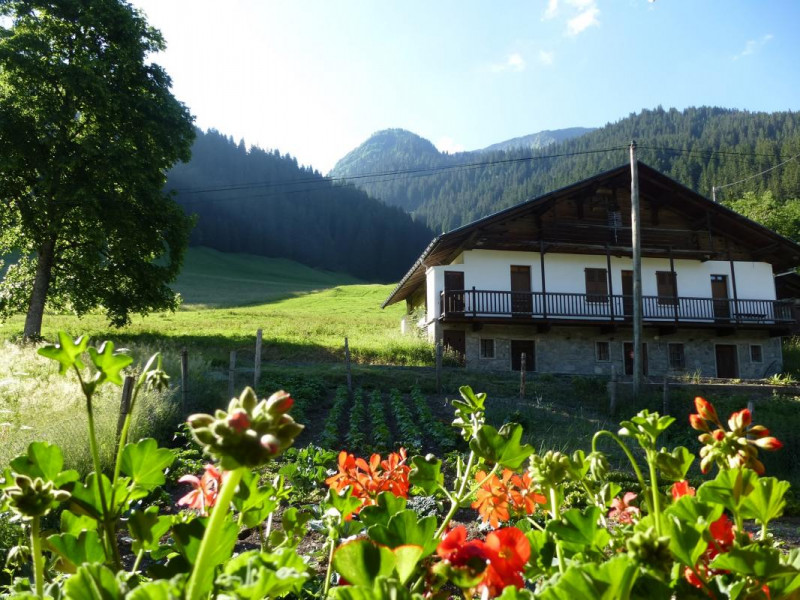 vue sur le potager ,depuis le salon et la salle de bain