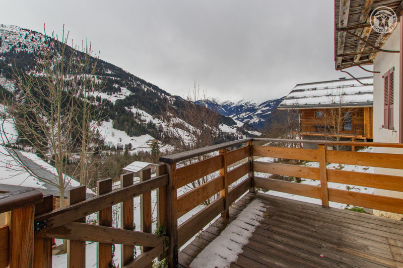 RESIDENCE MONT-BLANC LODGE - HAUTELUCE LES SAISIES - 73G132339