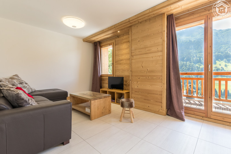 Salon coin tv - © Gîtes de France Salon coin tv