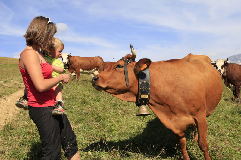 femme tenant dans ses bras un enfant devant une vache