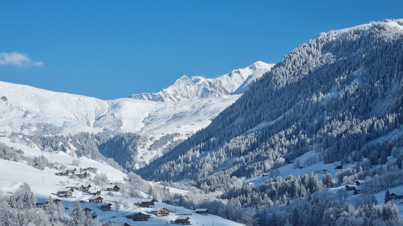 Vue chalet - © chalet GMB Vue chalet