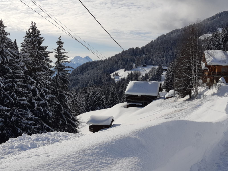 Vue du chalet nature Vue du chalet nature