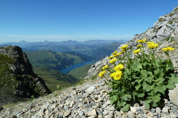 Le Beaufortain