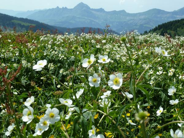 Le Mont Charvin