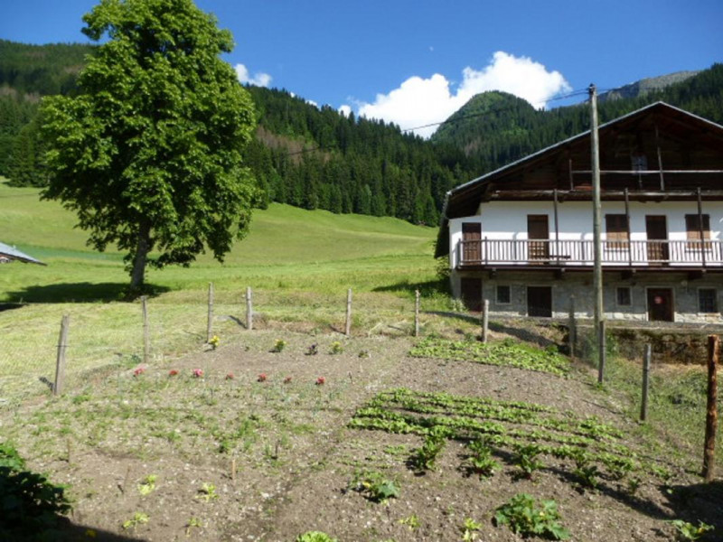 vue sur le potager, depuis le salon et la salle de bain