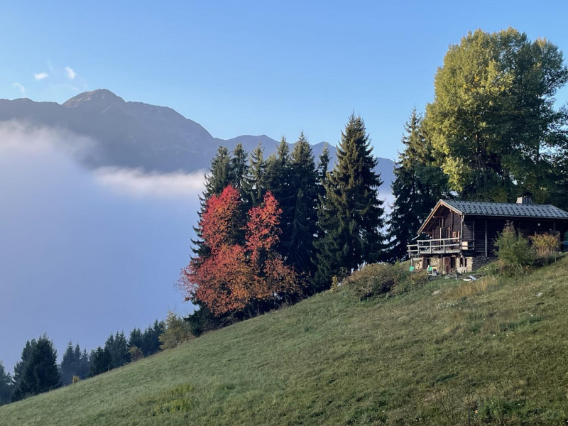 chalet vue du chemin d'accès en automne - © Gîtes de France chalet vue du chemin d'accès en automne
