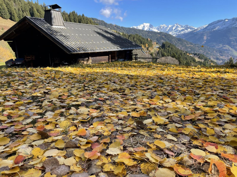 chalet vue arrière en automne, Mont Blanc en fond - © Gîtes de France chalet vue arrière en automne, Mont Blanc en fond