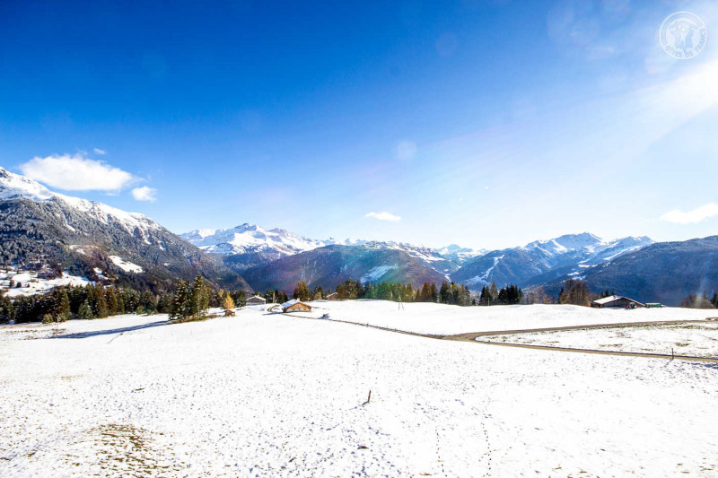 73G132121 - CHALET MATTIVI - HAUTELUCE-LES-SAISIES