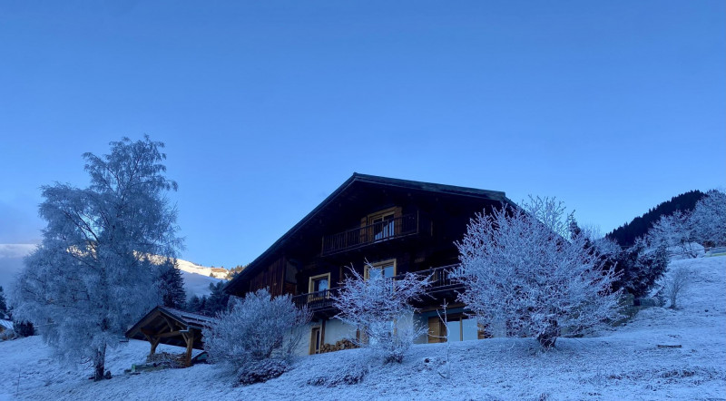Chalet hiver