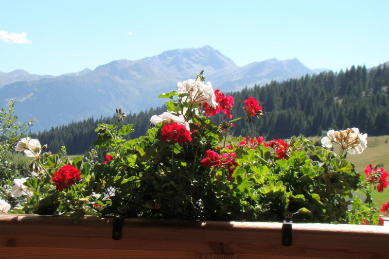 Vue sur les montagnes