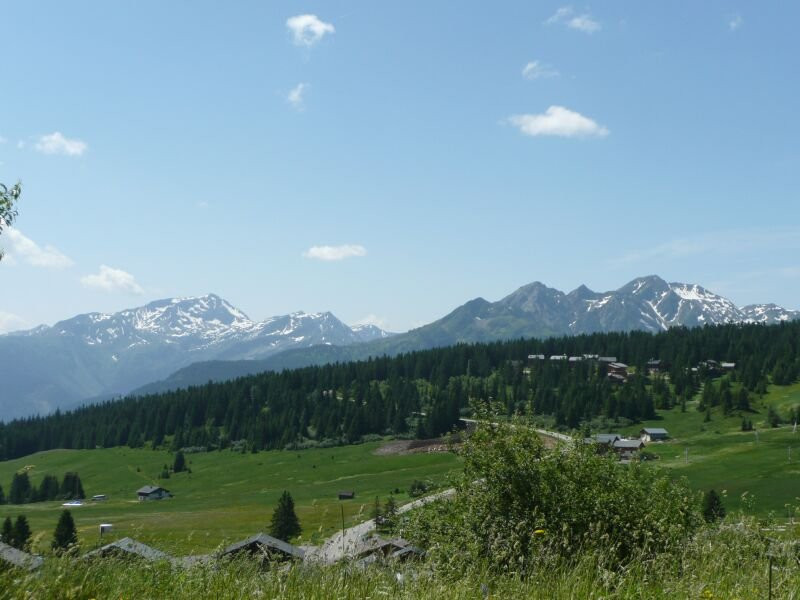 _clients_227362001_photos_17391f_21669441 _clients_227362001_photos_17391f_21669441