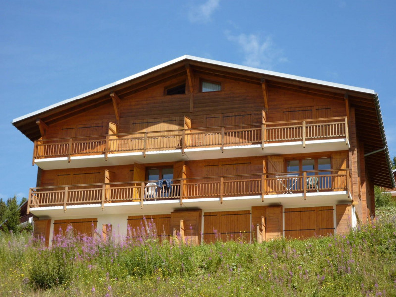 _clients_227362001_photos_17396m_21643757