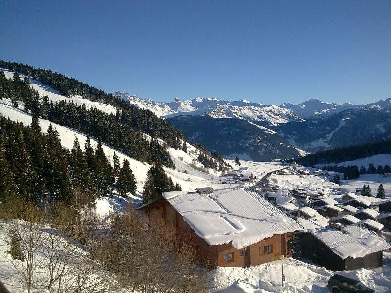 _clients_227362001_photos_17396y_20712152 _clients_227362001_photos_17396y_20712152