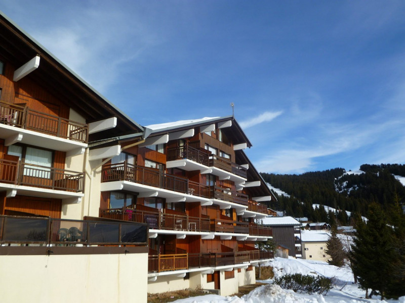 _clients_227362001_photos_17449o_20579079