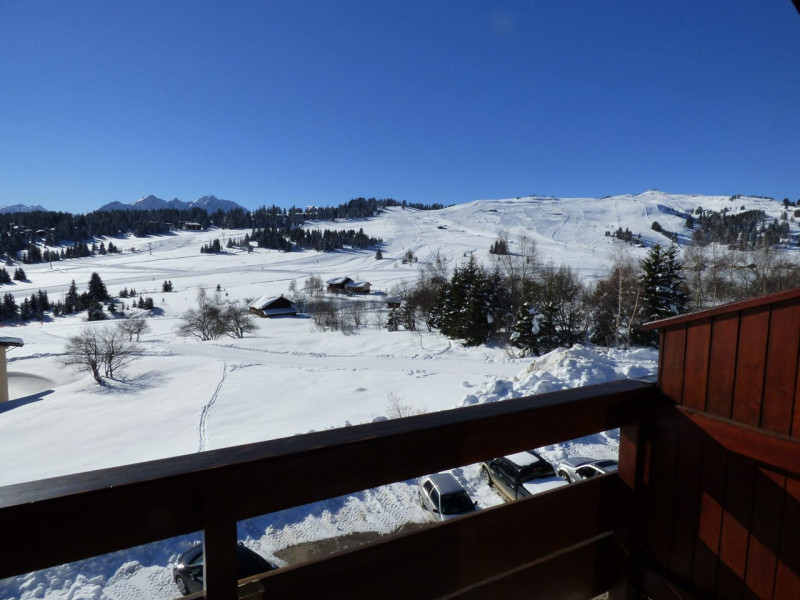 _clients_227362001_photos_17461j_23643014 _clients_227362001_photos_17461j_23643014