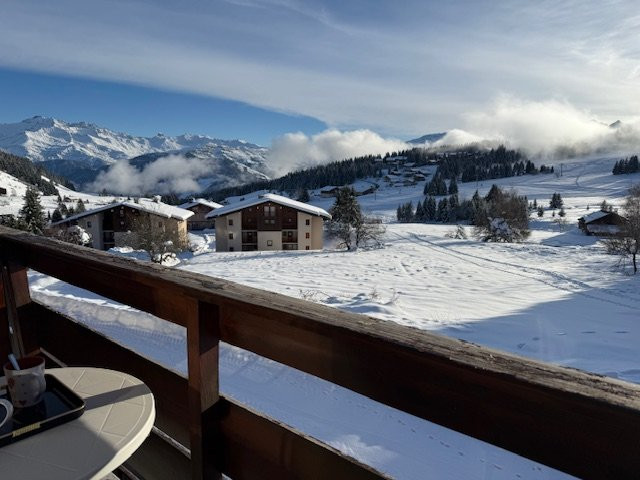 _clients_227362001_photos_17466i_21657260 _clients_227362001_photos_17466i_21657260