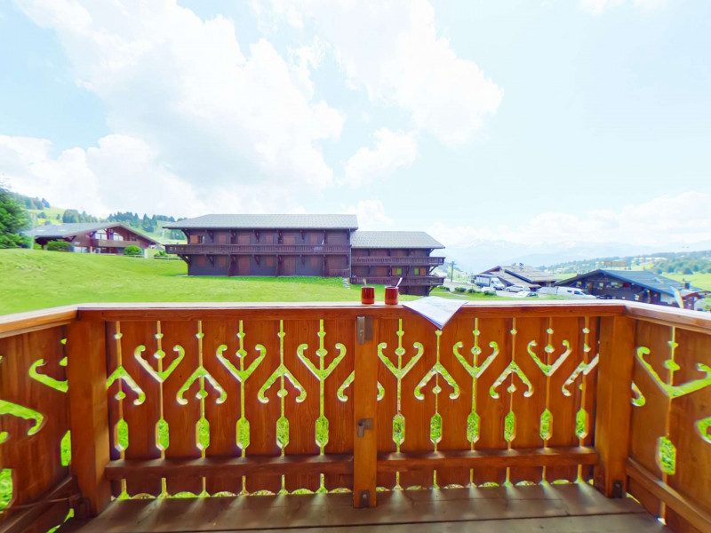 _clients_227362001_photos_17488i_23604996 _clients_227362001_photos_17488i_23604996