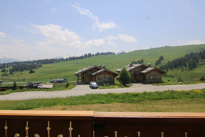 _clients_227362001_photos_17489o_22257385