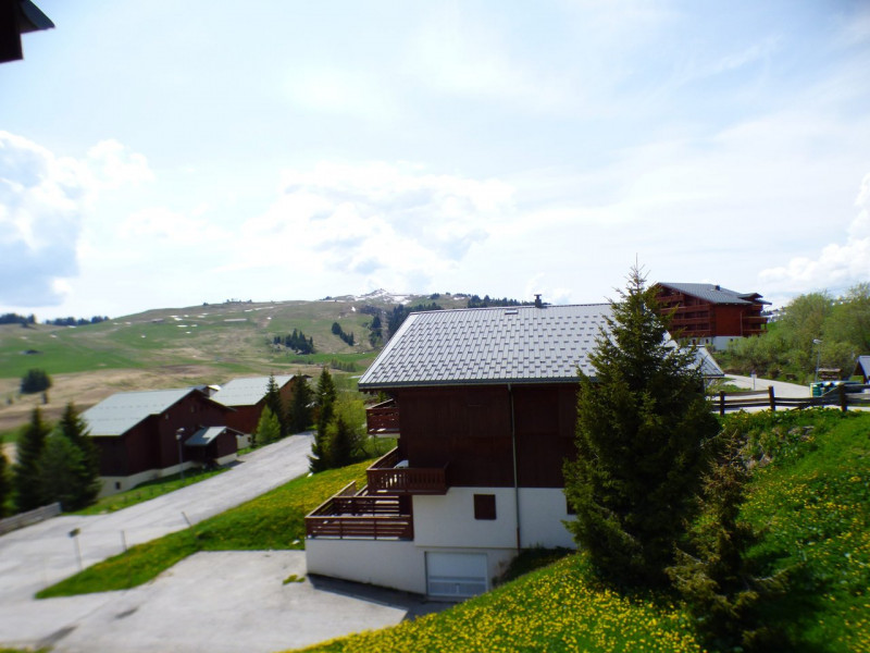 _clients_227362001_photos_17500l_22124399