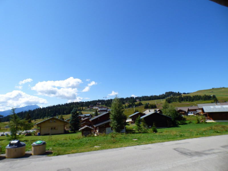 _clients_227362001_photos_17503j_20363490 _clients_227362001_photos_17503j_20363490