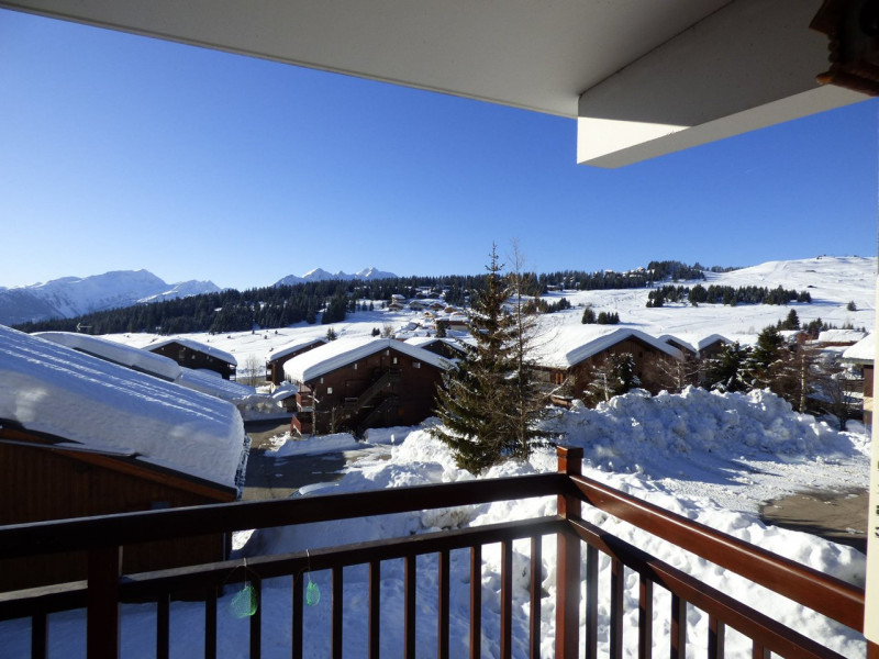 _clients_227362001_photos_17505g_22084666