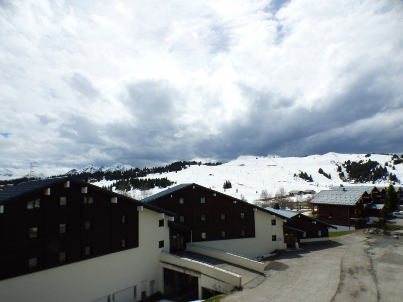 _clients_227362001_photos_17531m_20900523