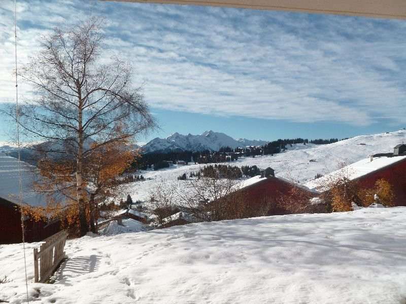 _clients_227362001_photos_17537i_22223324 _clients_227362001_photos_17537i_22223324