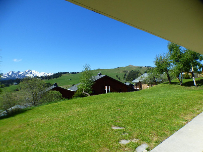 _clients_227362001_photos_17537k_21282396 _clients_227362001_photos_17537k_21282396