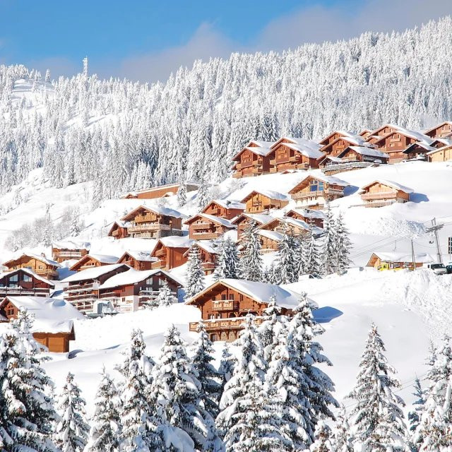 _clients_227362001_photos_17552aa_22351947