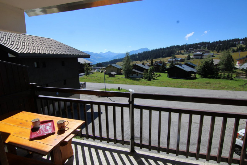 _clients_227362001_photos_17554f_22264737