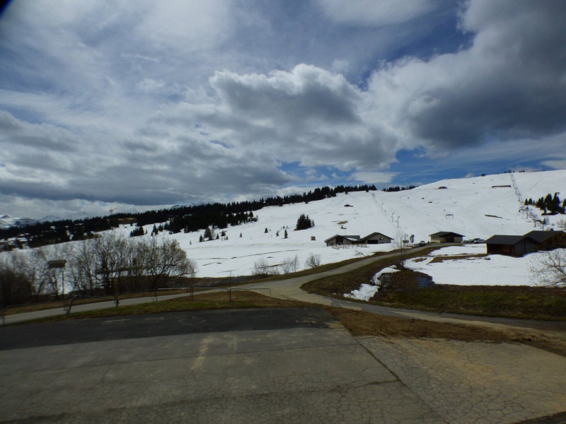 _clients_227362001_photos_17556k_21502814