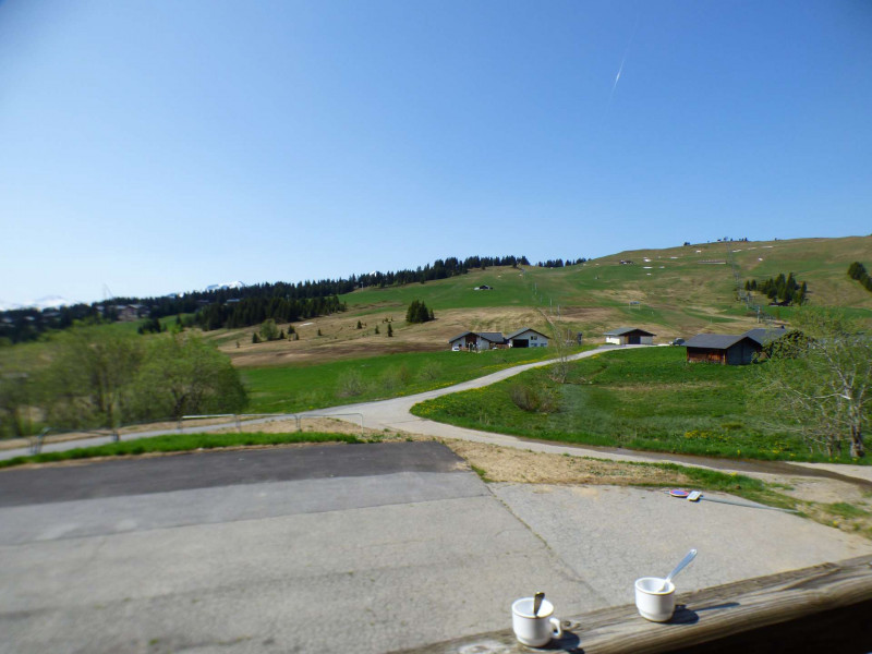 _clients_227362001_photos_17556n_18649414