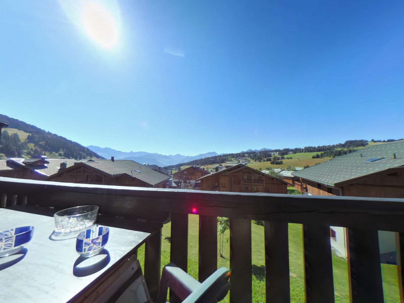 _clients_227362001_photos_17573k_22291821