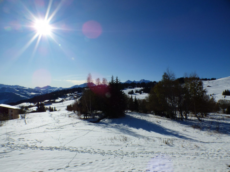 _clients_227362001_photos_17612n_20788014