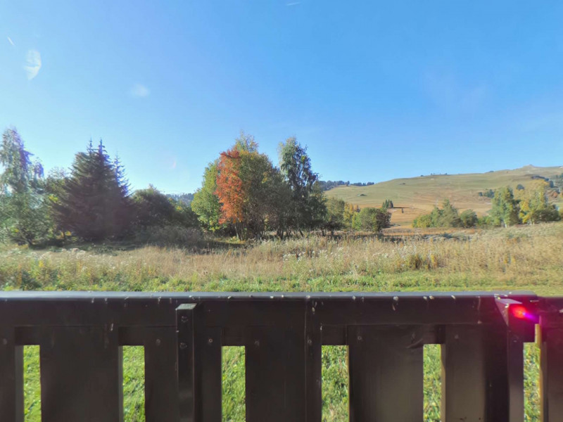 _clients_227362001_photos_17613g_22085425