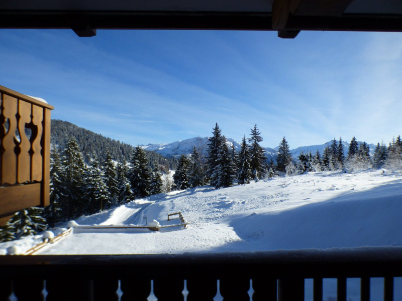 _clients_227362001_photos_17781l_22060658 _clients_227362001_photos_17781l_22060658