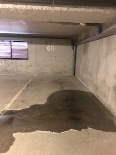 _clients_227362001_photos_17789k_21826100