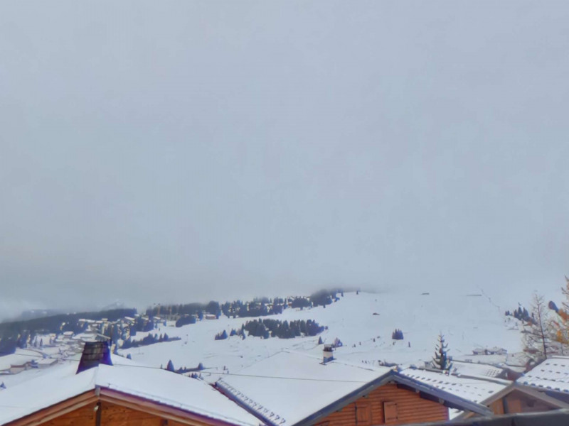 _clients_227362001_photos_18264p_20203965 _clients_227362001_photos_18264p_20203965