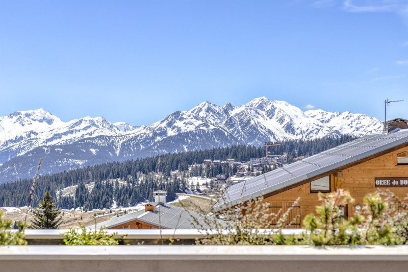 _clients_227362002_photos_23260i_20588374