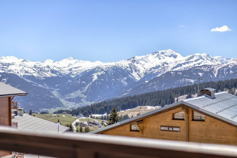 _clients_227362002_photos_23264n_22319756