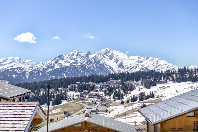 _clients_227362002_photos_23267g_20466688 _clients_227362002_photos_23267g_20466688