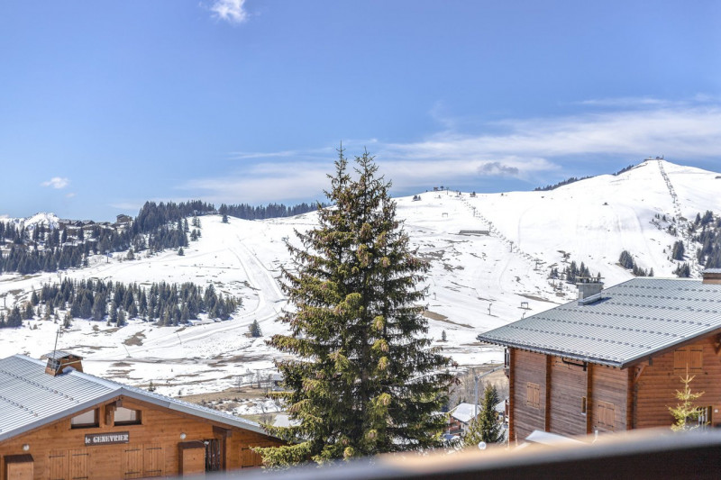 _clients_227362002_photos_23269h_20430059 _clients_227362002_photos_23269h_20430059