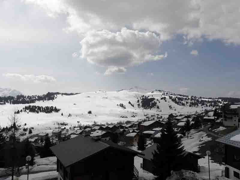 _clients_227362002_photos_23278z_22252150 _clients_227362002_photos_23278z_22252150