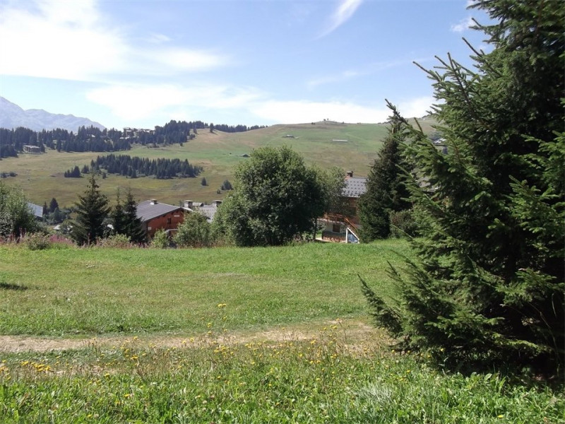 _clients_227362002_photos_23283b_23468941