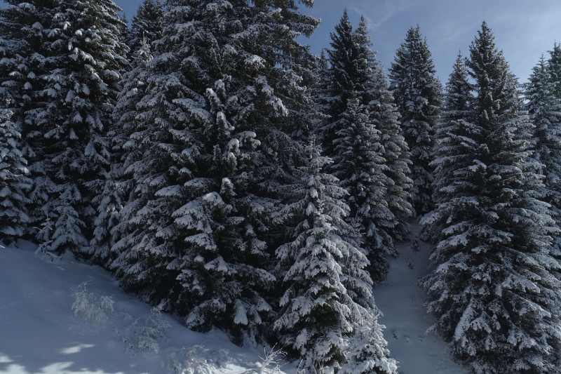 _clients_227362002_photos_23283n_22293222