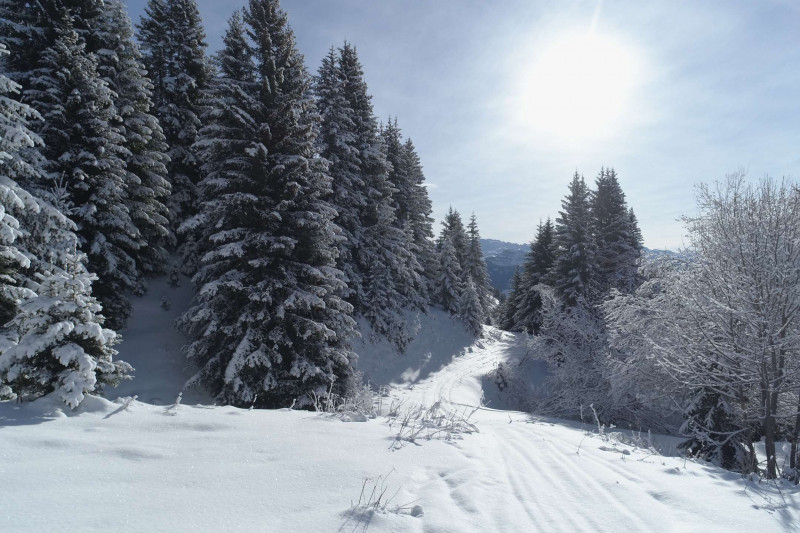 _clients_227362002_photos_23283o_21399681 _clients_227362002_photos_23283o_21399681