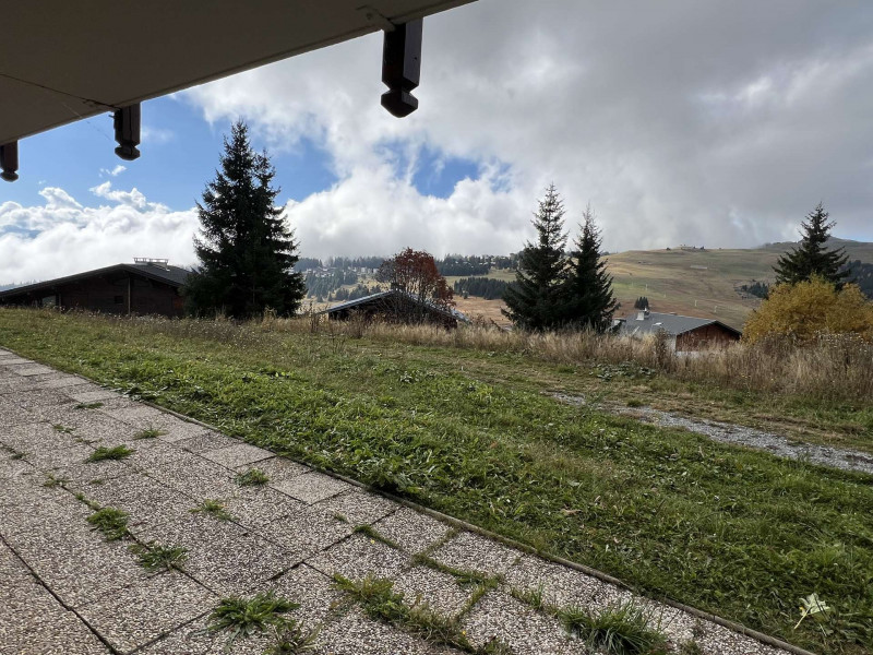 _clients_227362002_photos_23289g_21862235