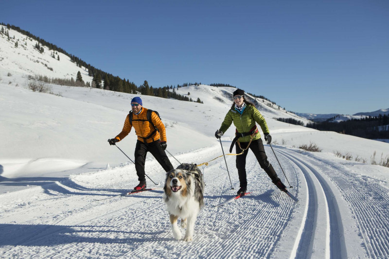 _clients_227362002_photos_23289n_23456264